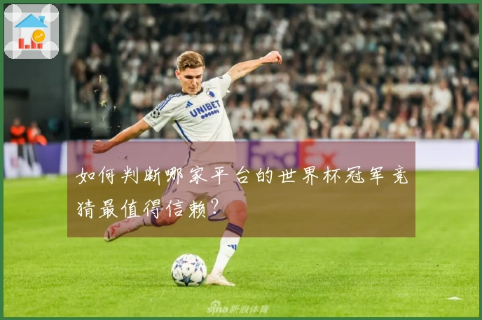 如何判断哪家平台的世界杯冠军竞猜最值得信赖？